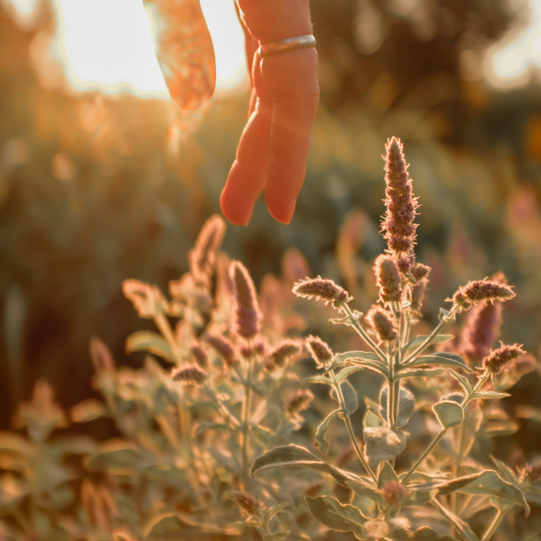 Jennifer Guerrand | Coach de vie pour femmes — Human Design & Méditation | Yvelines