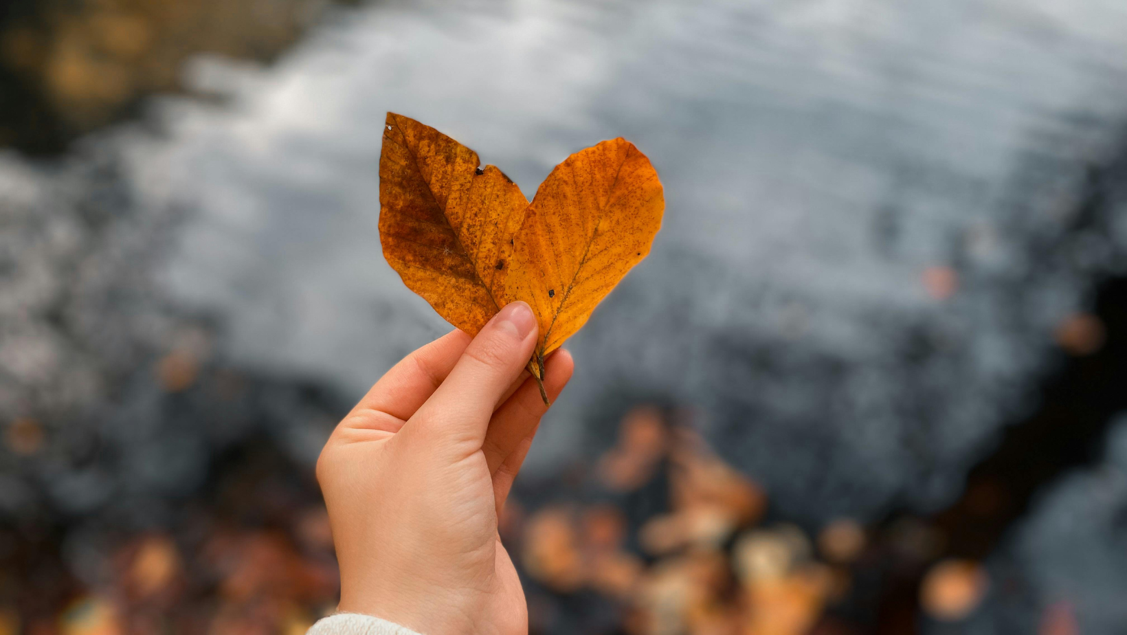 ralentir et revenir à soi à l'automne